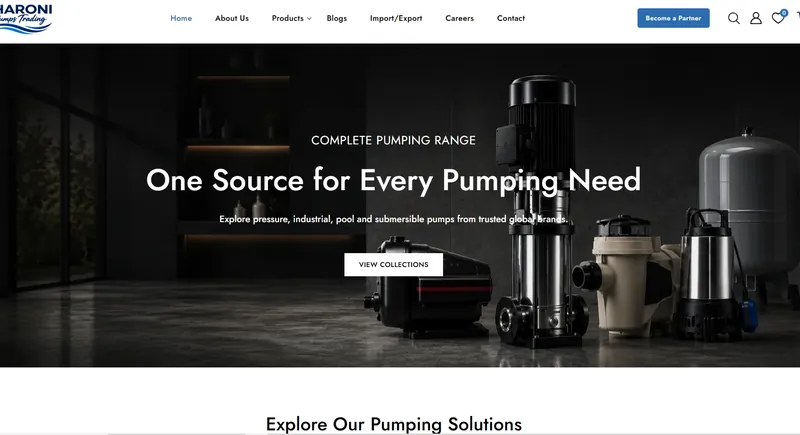 Aharoni Pumps online store built by MainStream